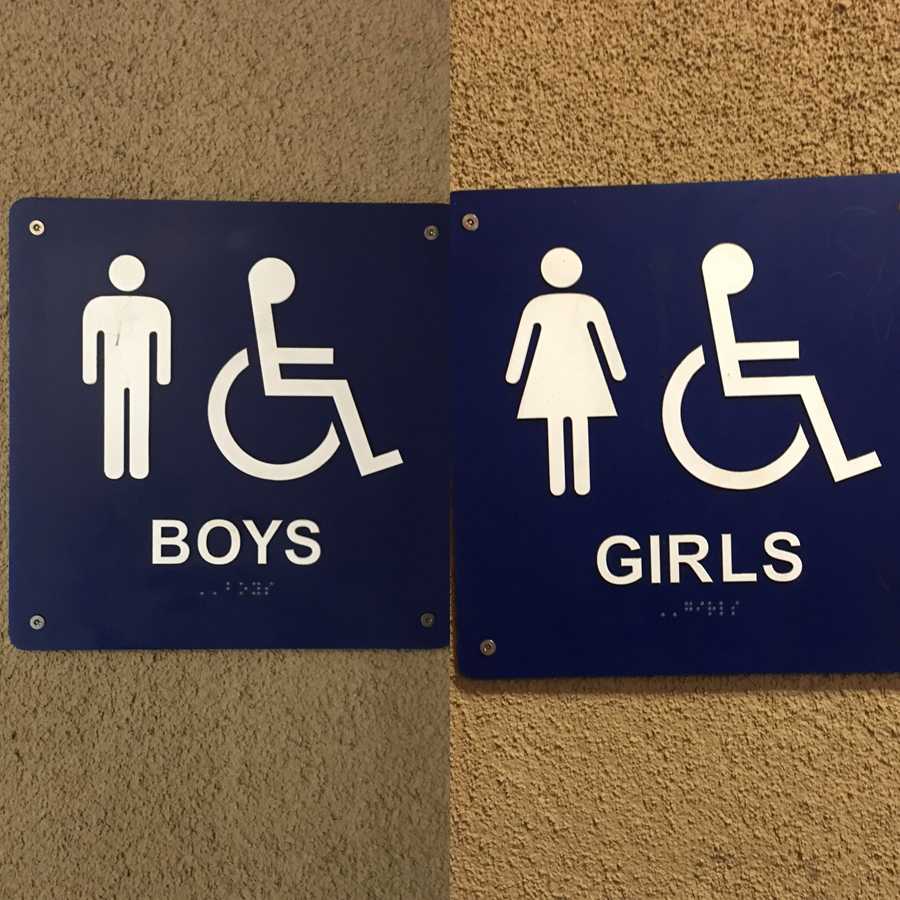 What+is+Gender%3F