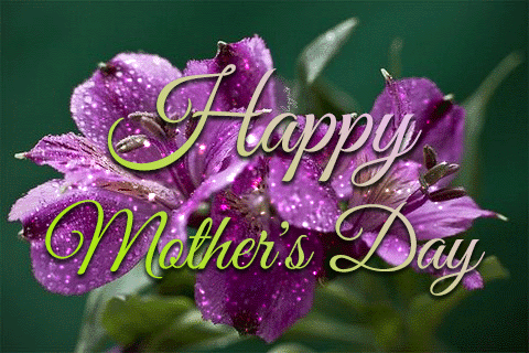 A tribute to Moms