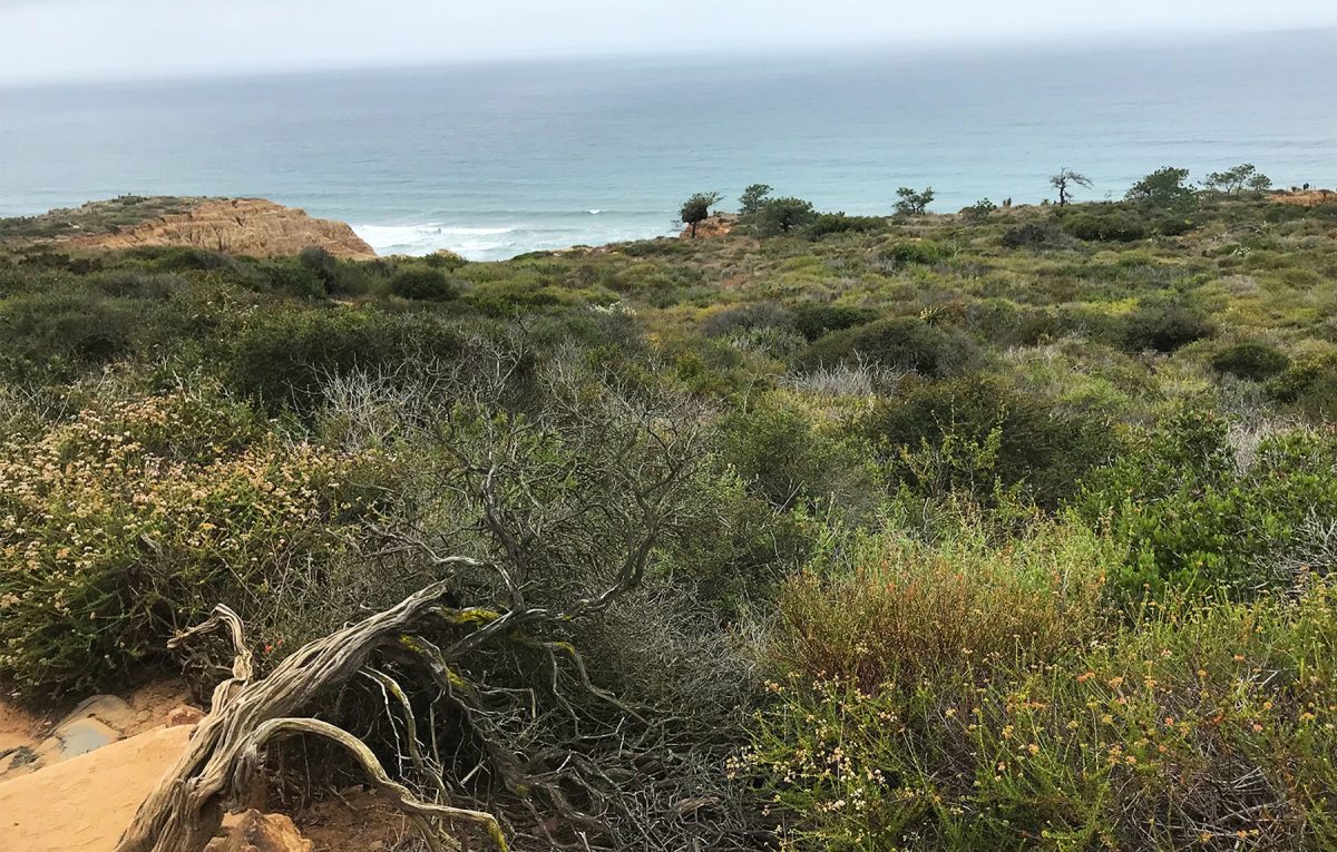 Get back to nature